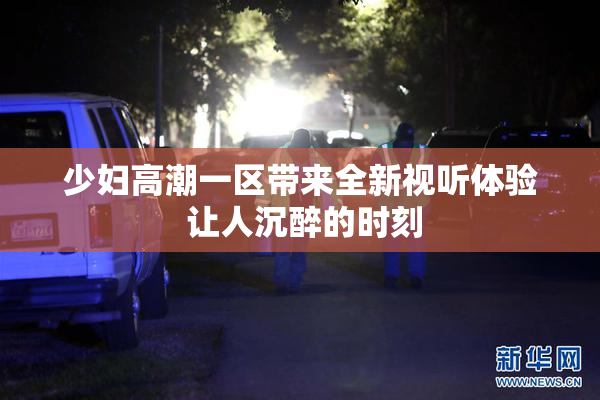 少妇高潮一区带来全新视听体验 让人沉醉的时刻