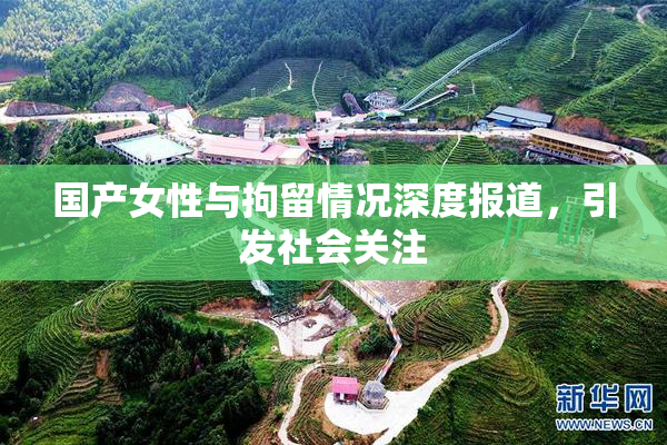 国产女性与拘留情况深度报道，引发社会关注