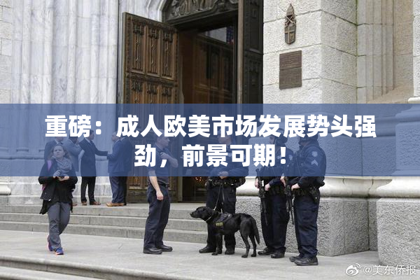 重磅：成人欧美市场发展势头强劲，前景可期！