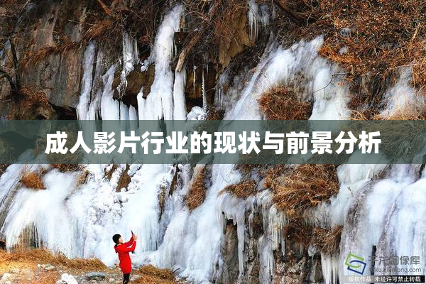 成人影片行业的现状与前景分析