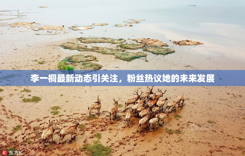 李一桐最新动态引关注，粉丝热议她的未来发展