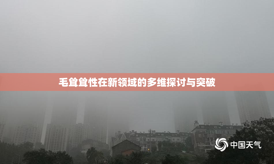 毛耸耸性在新领域的多维探讨与突破