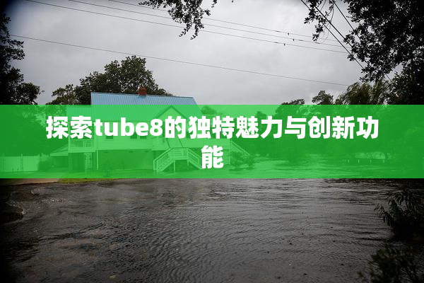 探索tube8的独特魅力与创新功能