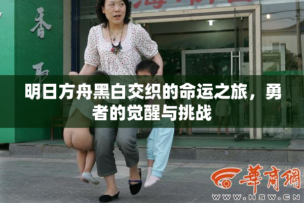 明日方舟黑白交织的命运之旅，勇者的觉醒与挑战