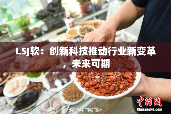 LSJ软：创新科技推动行业新变革，未来可期