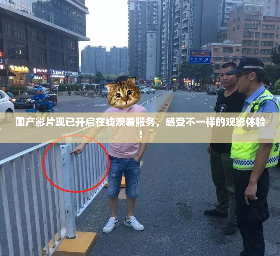国产影片现已开启在线观看服务，感受不一样的观影体验！