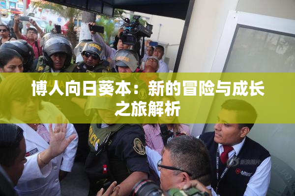 博人向日葵本：新的冒险与成长之旅解析