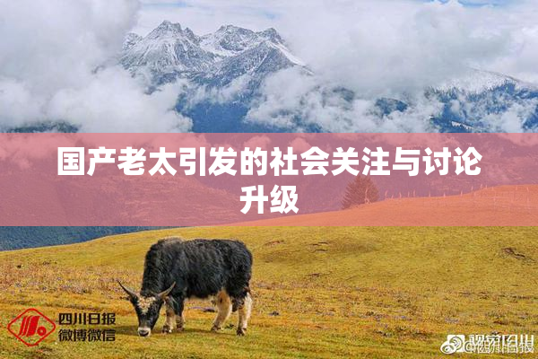 国产老太引发的社会关注与讨论升级