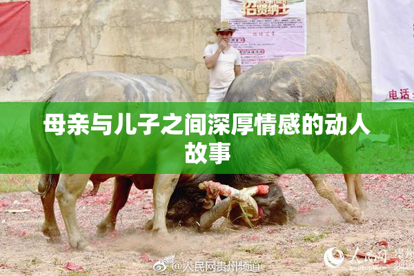 母亲与儿子之间深厚情感的动人故事