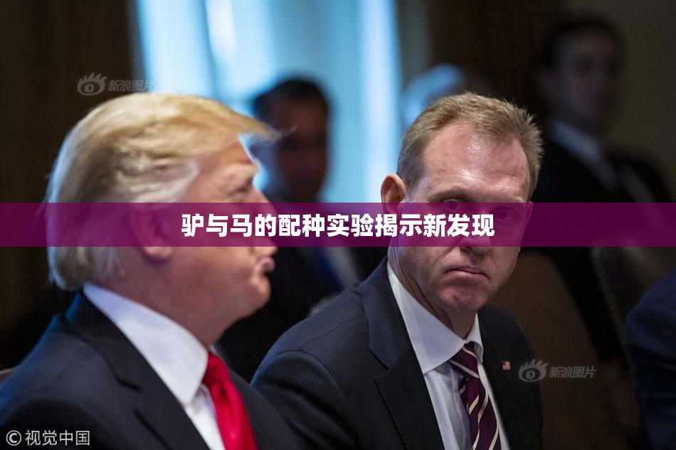 驴与马的配种实验揭示新发现