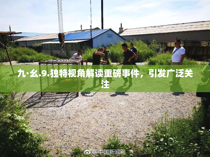 九·幺.9.独特视角解读重磅事件，引发广泛关注