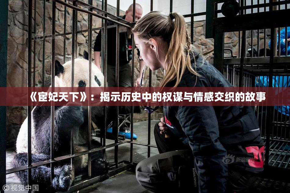 《宦妃天下》：揭示历史中的权谋与情感交织的故事