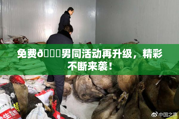 免费🔞男同活动再升级，精彩不断来袭！