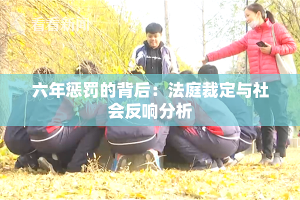 六年惩罚的背后：法庭裁定与社会反响分析