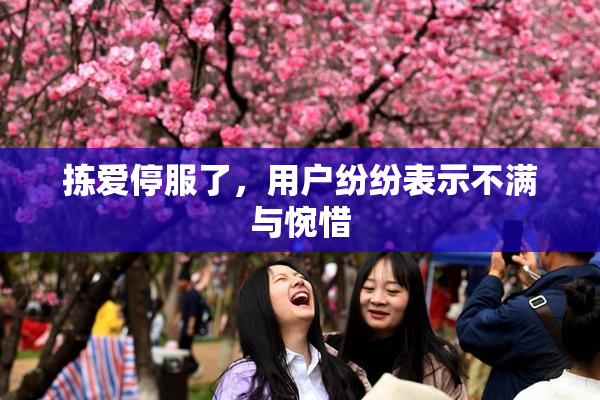 拣爱停服了，用户纷纷表示不满与惋惜