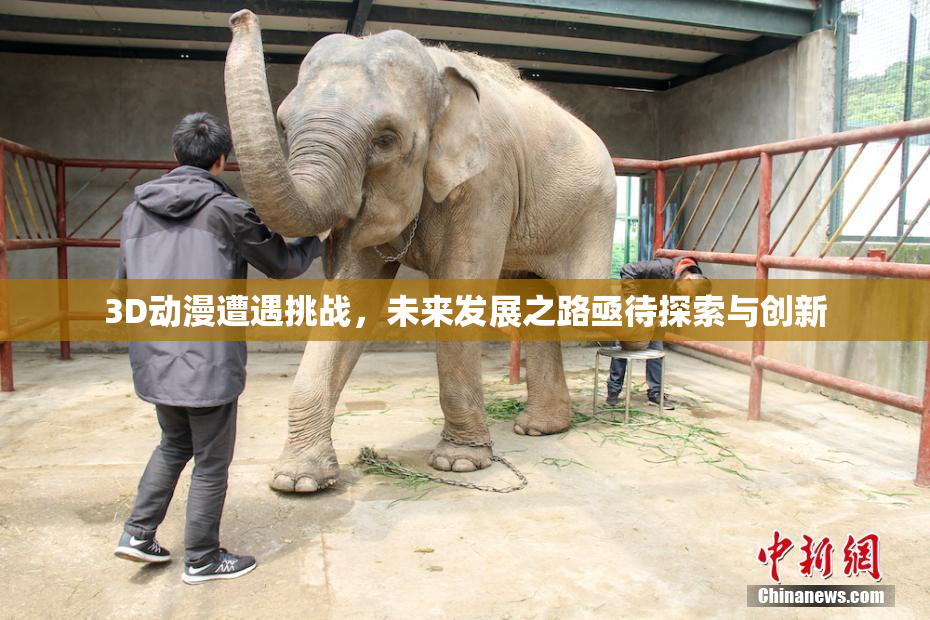 3D动漫遭遇挑战，未来发展之路亟待探索与创新