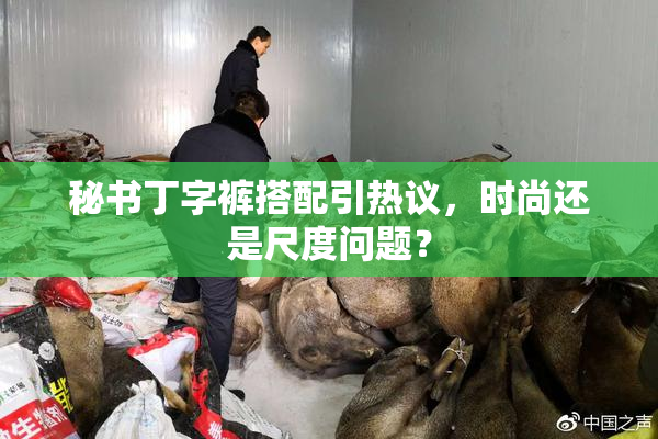 秘书丁字裤搭配引热议，时尚还是尺度问题？