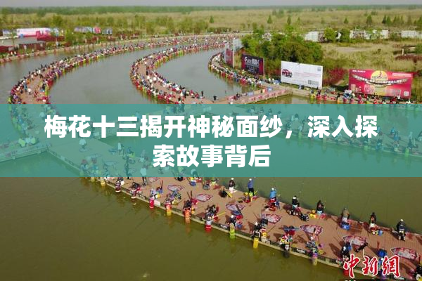 梅花十三揭开神秘面纱，深入探索故事背后