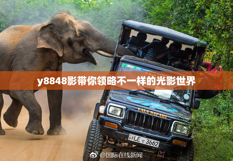 y8848影带你领略不一样的光影世界