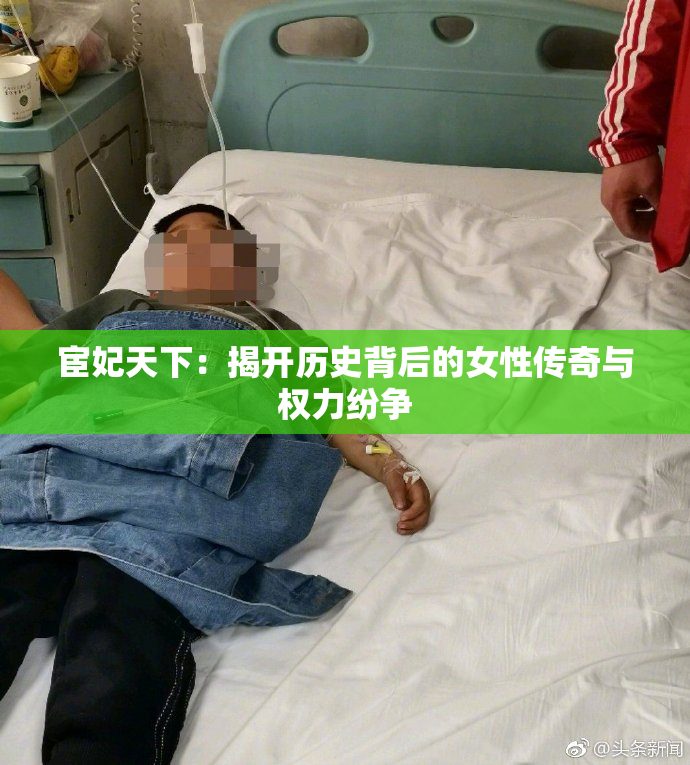 宦妃天下：揭开历史背后的女性传奇与权力纷争