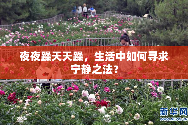 夜夜躁天天躁，生活中如何寻求宁静之法？