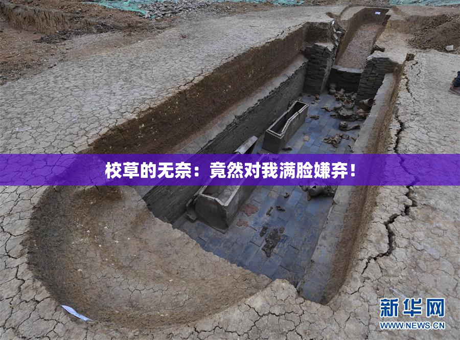 校草的无奈：竟然对我满脸嫌弃！