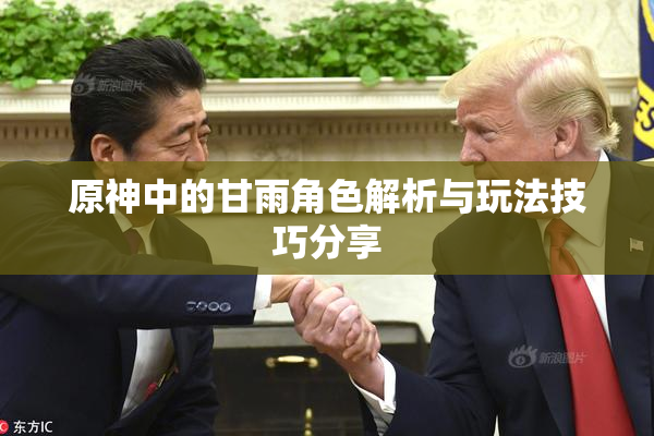 原神中的甘雨角色解析与玩法技巧分享