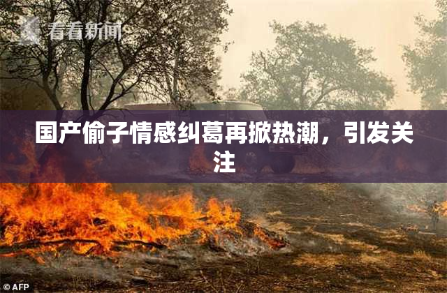国产偷子情感纠葛再掀热潮，引发关注