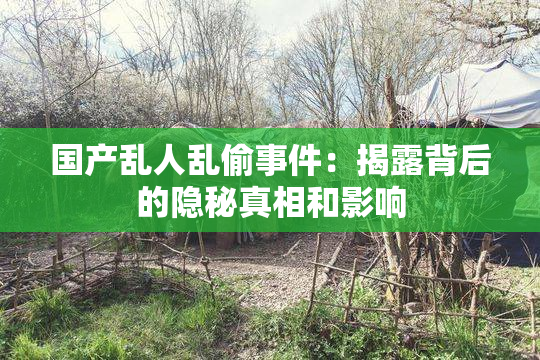 国产乱人乱偷事件：揭露背后的隐秘真相和影响