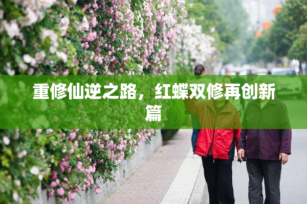 重修仙逆之路，红蝶双修再创新篇