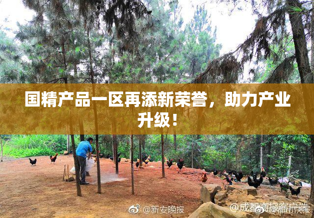 国精产品一区再添新荣誉，助力产业升级！