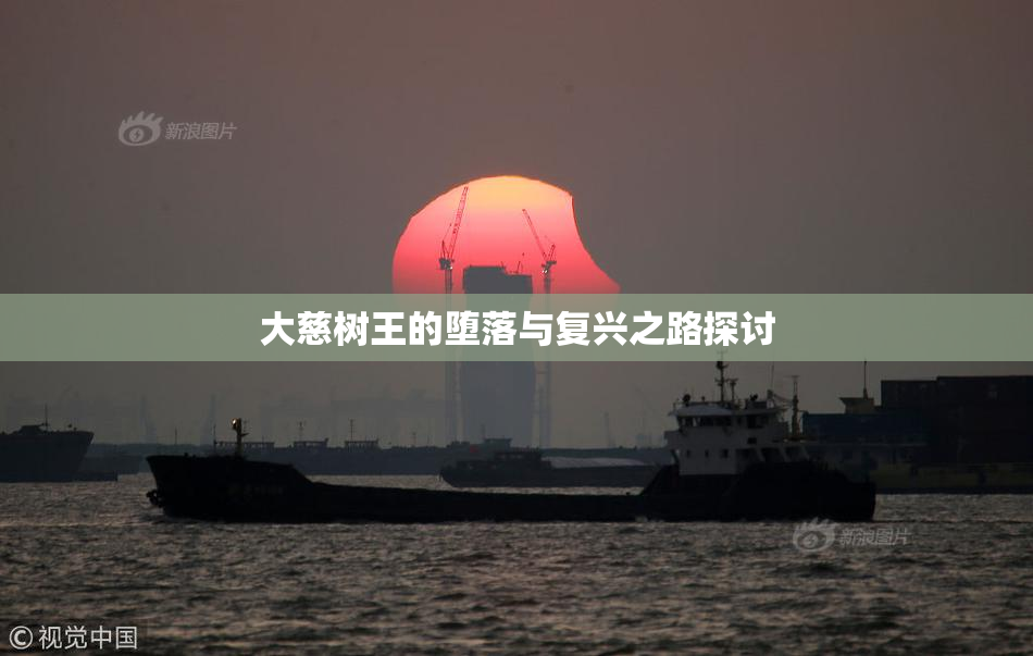 大慈树王的堕落与复兴之路探讨