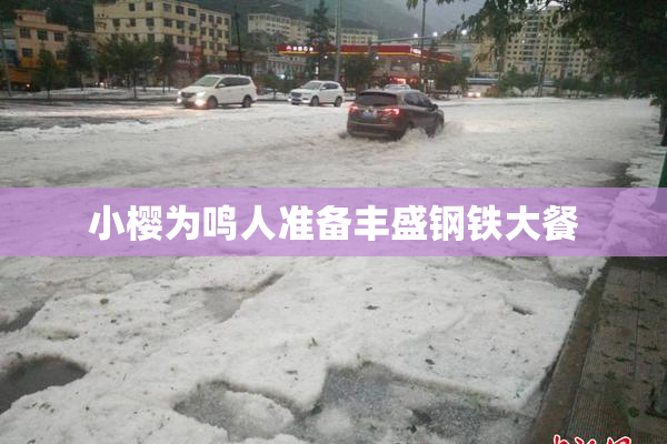 小樱为鸣人准备丰盛钢铁大餐