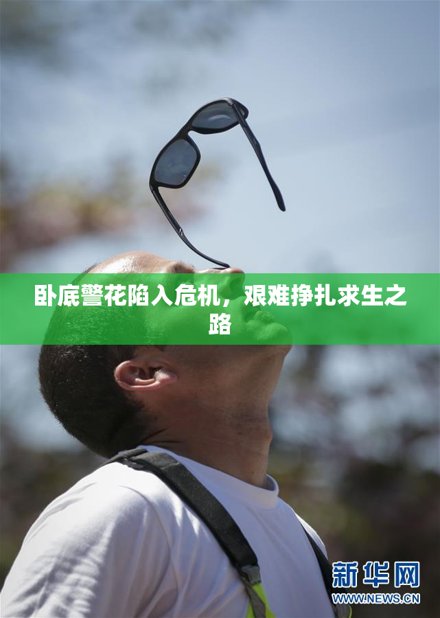 卧底警花陷入危机，艰难挣扎求生之路