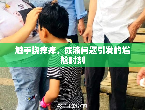 触手挠痒痒，尿液问题引发的尴尬时刻