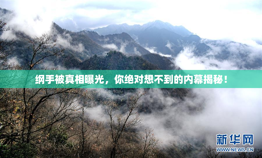 纲手被真相曝光，你绝对想不到的内幕揭秘！