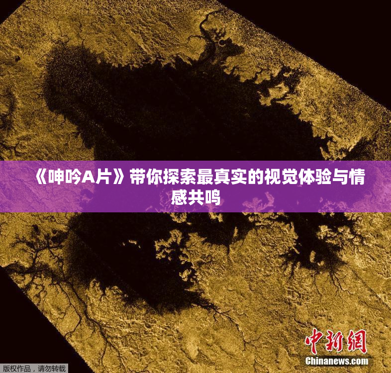 《呻吟A片》带你探索最真实的视觉体验与情感共鸣