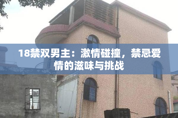 18禁双男主：激情碰撞，禁忌爱情的滋味与挑战