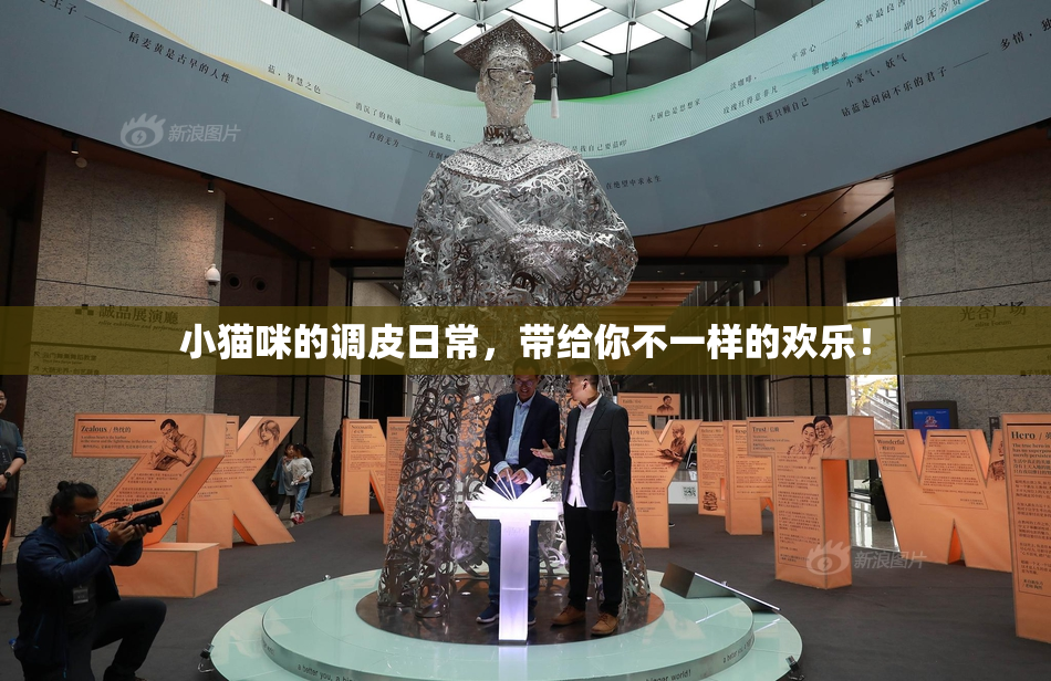 小猫咪的调皮日常，带给你不一样的欢乐！