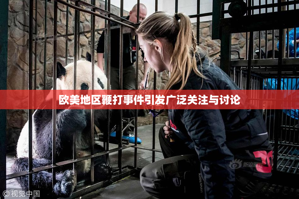 欧美地区鞭打事件引发广泛关注与讨论