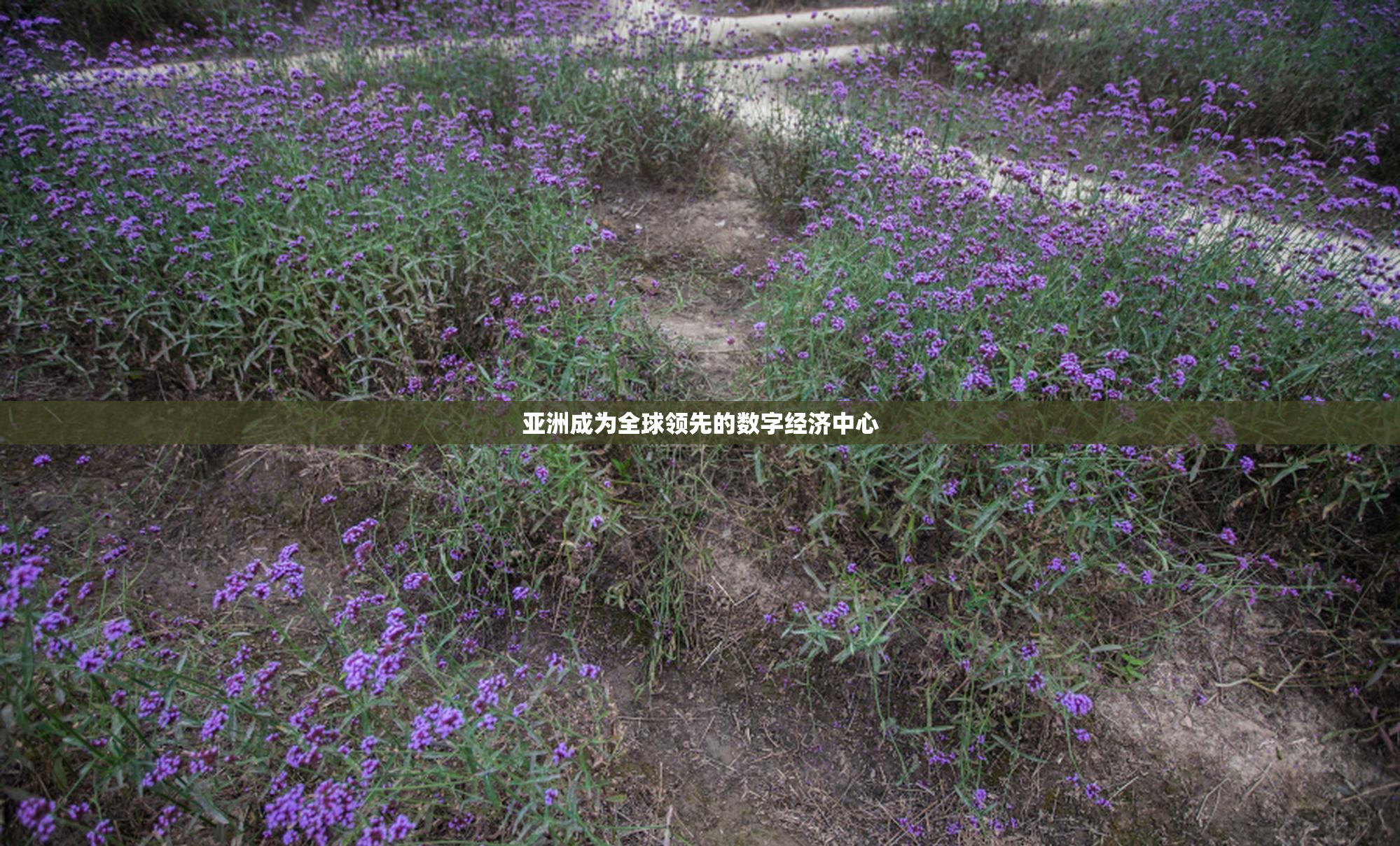 亚洲成为全球领先的数字经济中心