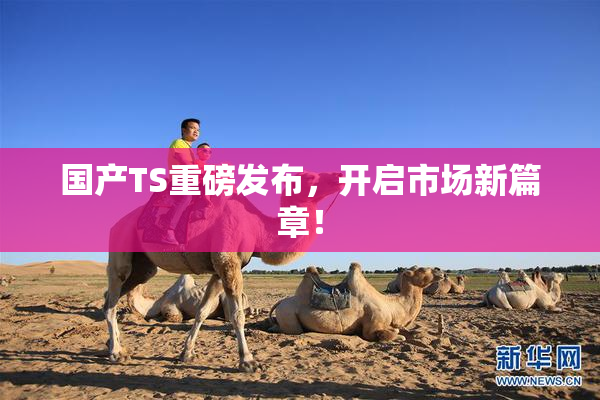 国产TS重磅发布，开启市场新篇章！