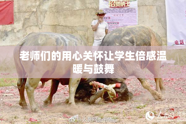 老师们的用心关怀让学生倍感温暖与鼓舞