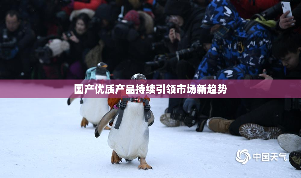 国产优质产品持续引领市场新趋势