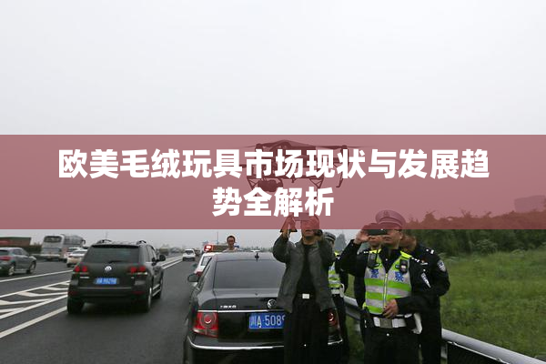 欧美毛绒玩具市场现状与发展趋势全解析