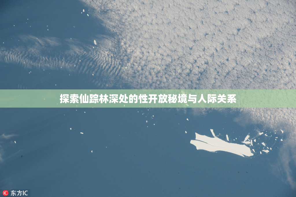 探索仙踪林深处的性开放秘境与人际关系