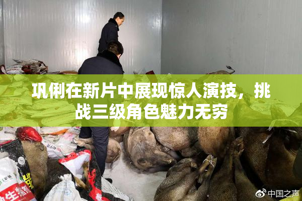 巩俐在新片中展现惊人演技，挑战三级角色魅力无穷