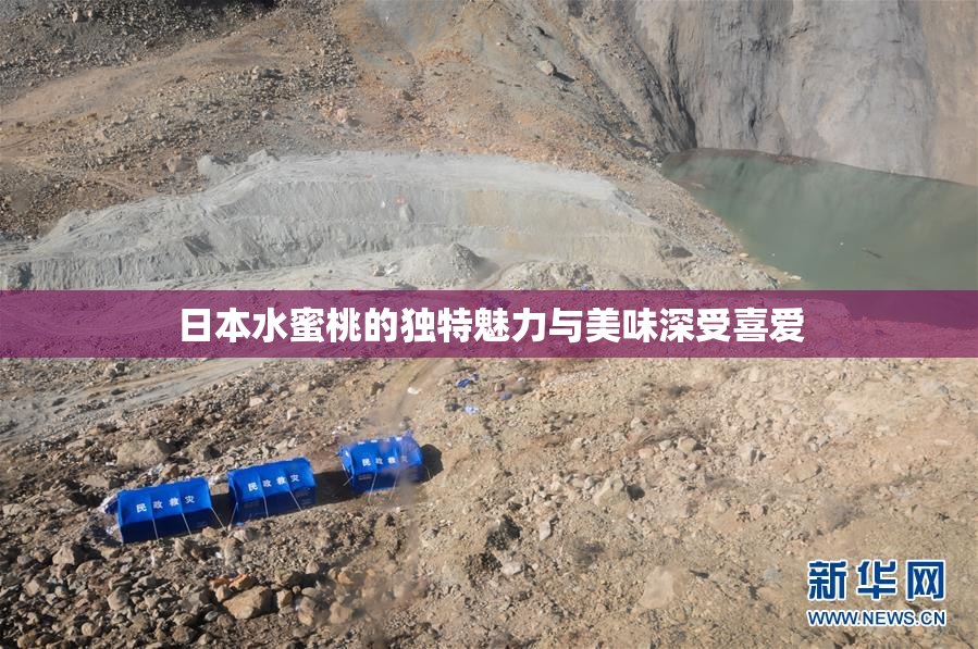 日本水蜜桃的独特魅力与美味深受喜爱
