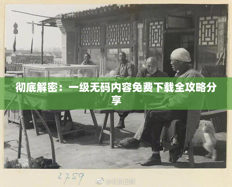 彻底解密：一级无码内容免费下载全攻略分享