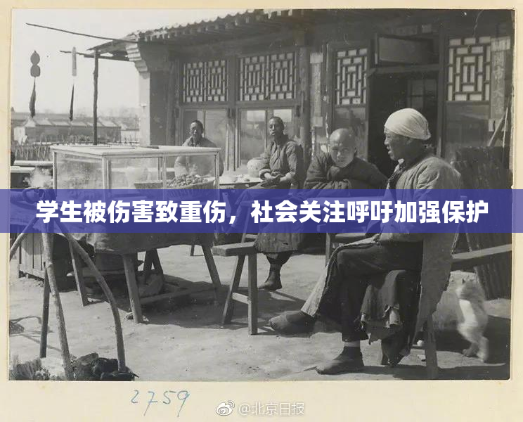 学生被伤害致重伤，社会关注呼吁加强保护